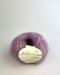 BELLA COLOR Winterberry 96
